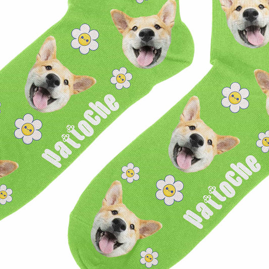 Zoom sur les chaussettes Daisy personnalisées vertes avec portrait de chien - design marguerites kawaii Pattoche