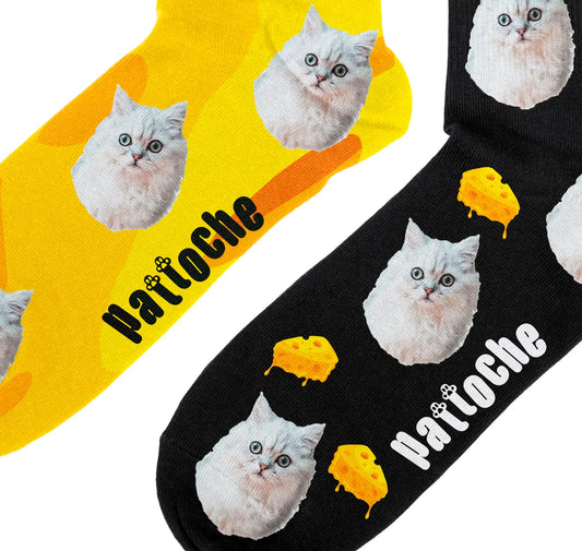 Gros plan sur le design Cheese fromage fondu avec portrait de chat - chaussettes Pattoche