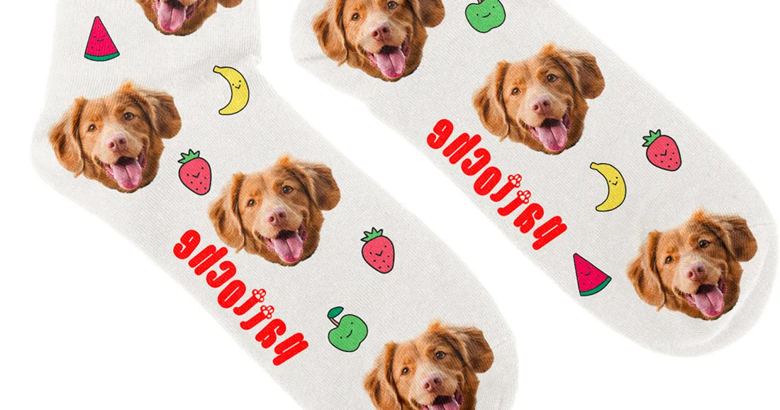 10 idées cadeaux originaux pour les gourmands qui ont un chien ou un chat