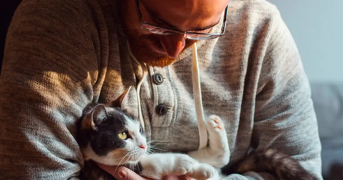 Cadeau fête des pères cat dad : 10 idées qui touchent