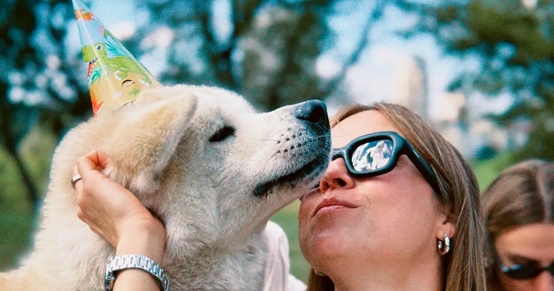 Cadeau anniversaire propriétaire de chien : 10 idées qui marquent