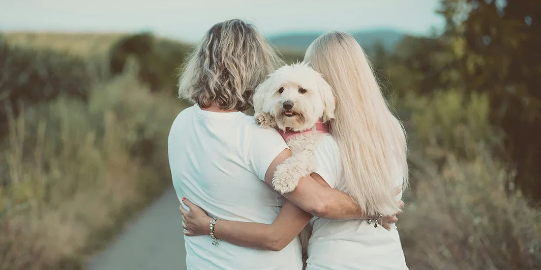 Fête des mères : 10 idées cadeaux pour une vraie dog mom
