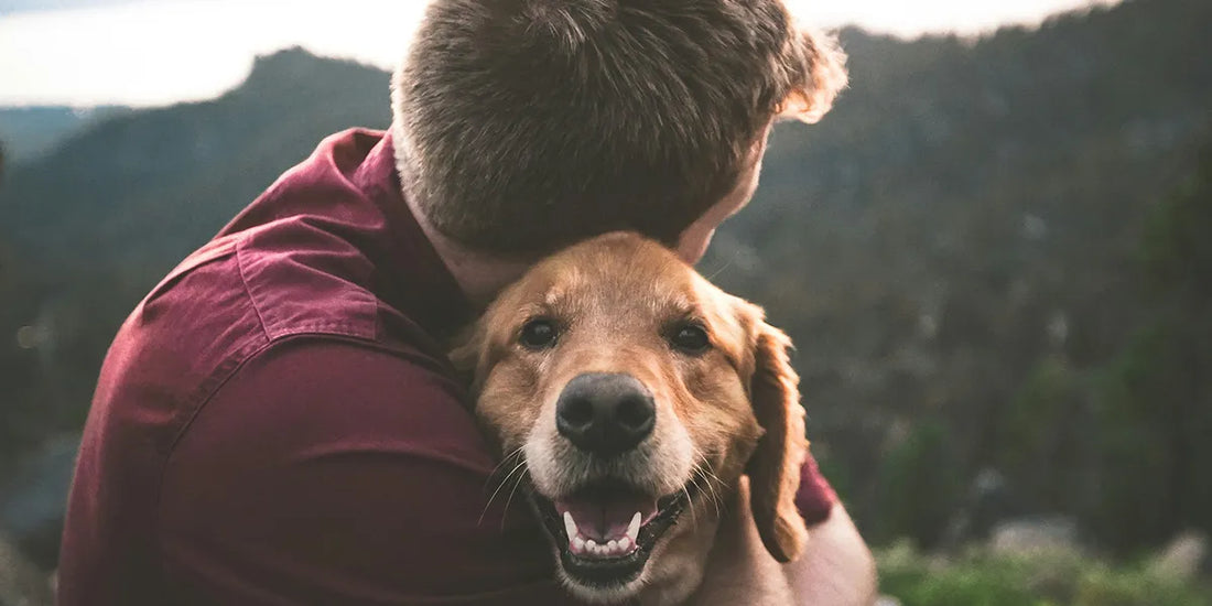 Fête des pères : 10 idées cadeaux pour un vrai dog dad