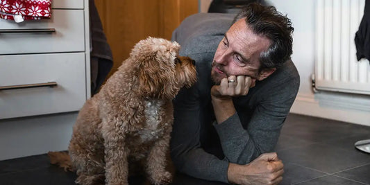 Cadeau fête des pères pour un papa qui aime les chiens : 10 idées originales