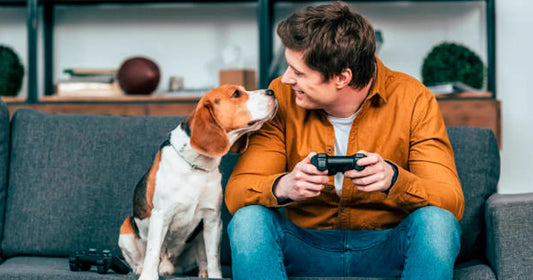Cadeau geek pour propriétaire de chien : 10 idées pixel art et gaming
