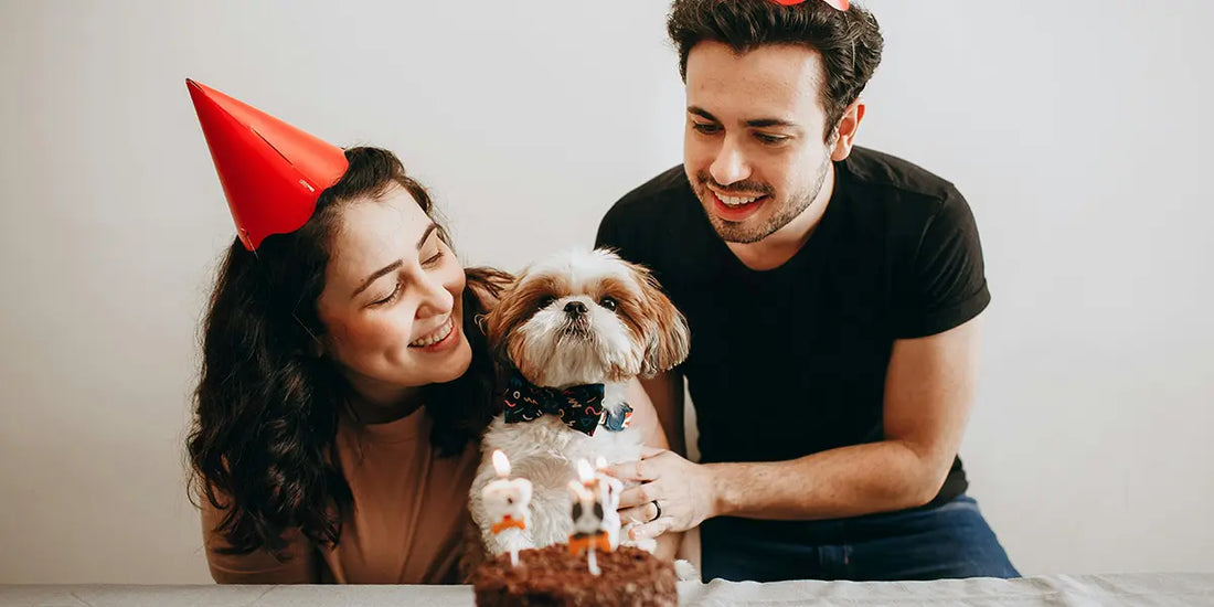 Quel cadeau pour un amoureux des animaux ? 10 idées qui marquent
