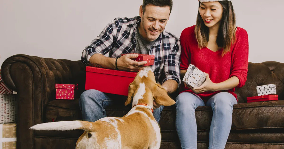 10 idées cadeaux originaux pour propriétaire de chien (qui font vraiment plaisir)