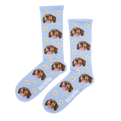 Chaussettes personnalisées avec la photo d'un chien, motif marguerites, coloris bleu ciel