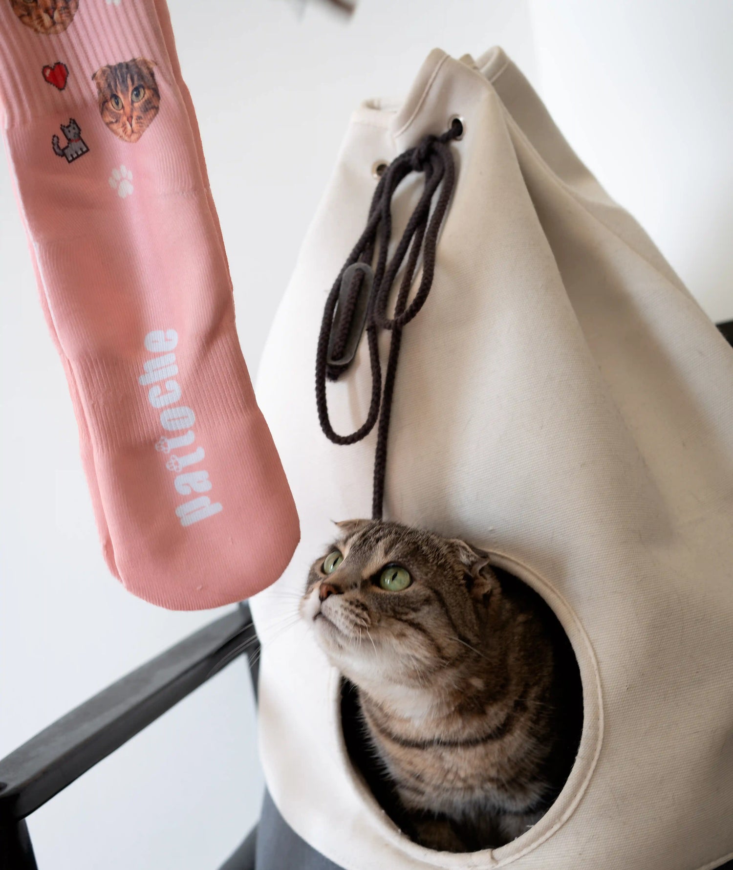 Chat reniflant des chaussettes roses personnalisées roses avec sa photo imprimée dessus - Pattoche